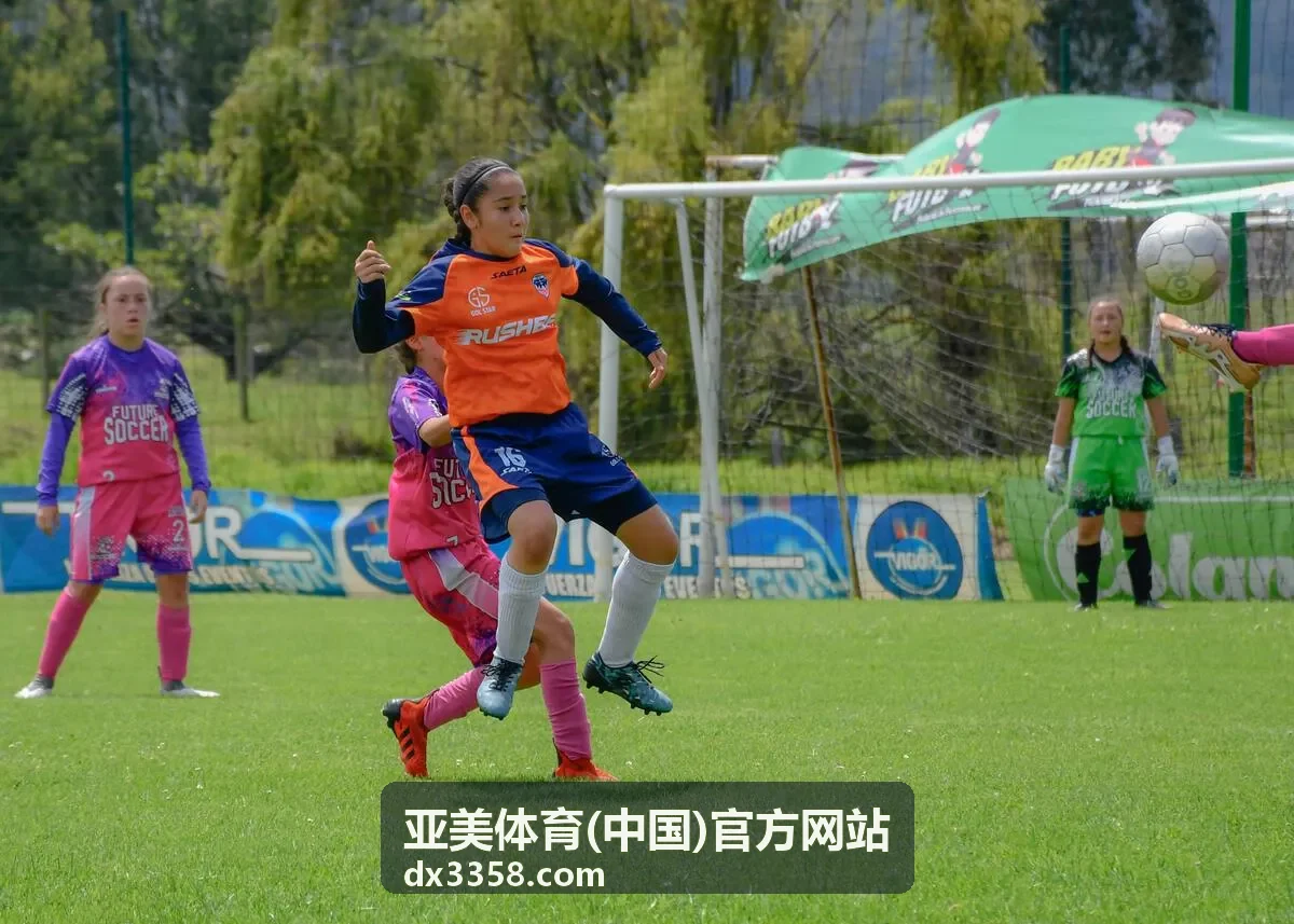 世界杯樊振东：从赛场到巅峰的荣耀之路